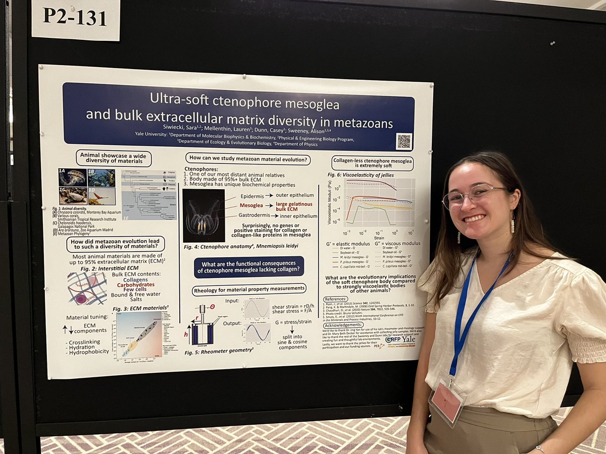 Wanna hear about how squishy ctenophores are compared to true jellyfish? Come check out my poster 131 today at 4:30 in the grand ballroom!!  #SICB2023