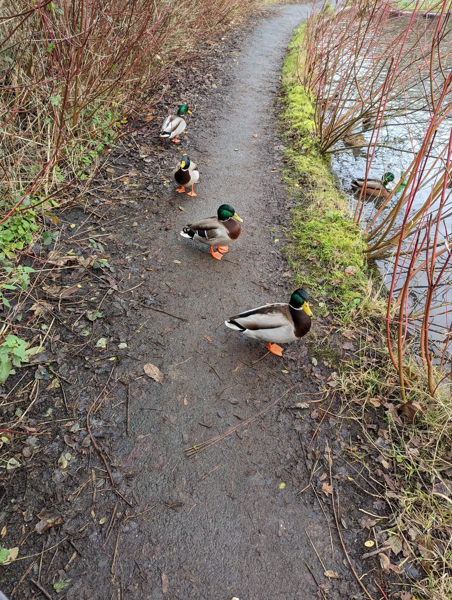 lukebailey90's tweet image. Who remembers #TheQueue?