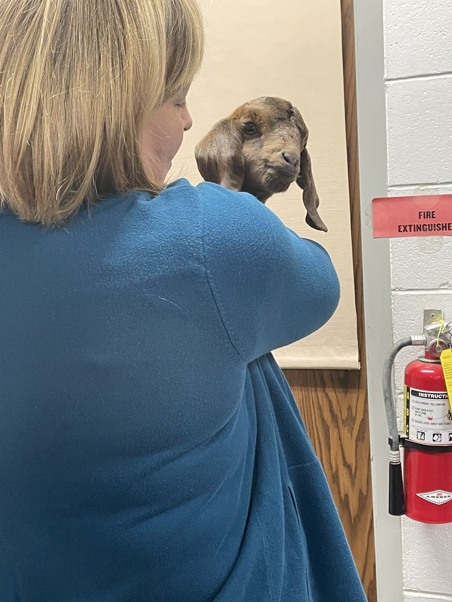 Amy_L_Hunt's tweet photo. Started 2023 by #trainging several schools this week for #professionaldevelopment in #Missouri. We learned about @SMART_Tech, @Tinkerine 3Dprinters, & @GetClearTouch! As a bonus, I also got to pet a baby goat! What a way to bring in the New Year! @KCAVsolutions @emintsnc #edtech https://t.co/0YLH0c5Itz