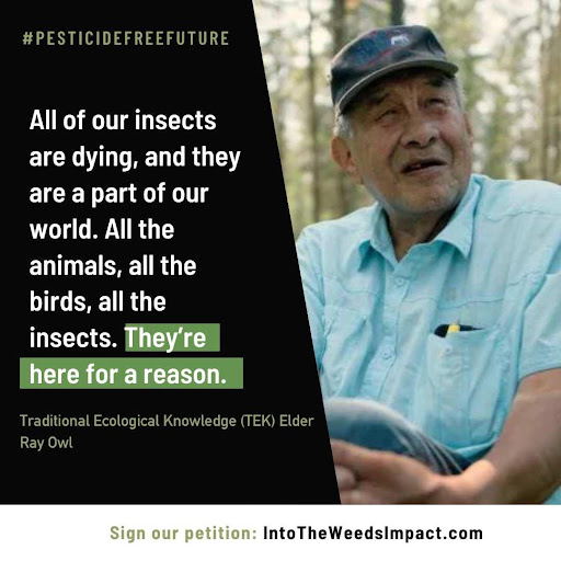 Alongside Join Ray Owl and other Traditional Ecological Knowledge (TEK) Elders, we are demanding a stop to the poisoning of Indigenous lands.

Join the call by signing our petition calling on the Minister of Health to ban glyphosate in Canada: intotheweedsimpact.com/take-action