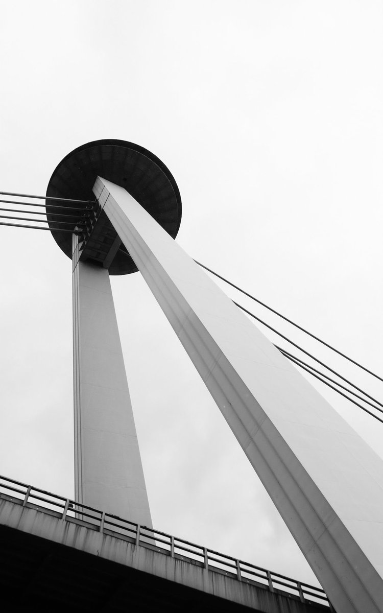 @thesassysergio ✌️