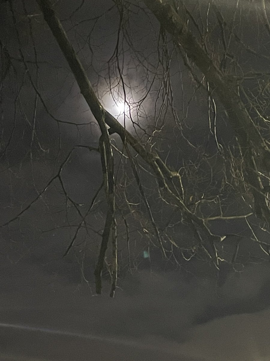 mun_artist's tweet photo. Oh that Moon … is looking down on you ….
#WolfMoon #NearlyFullmoon #Jan2023 #London2023 https://t.co/DshSedGQiD