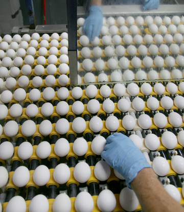 Signs of weaker tones in egg values ahead. #foodservicesupplychain #restaurantsupplychain
supplychainscene.org/resources/news…