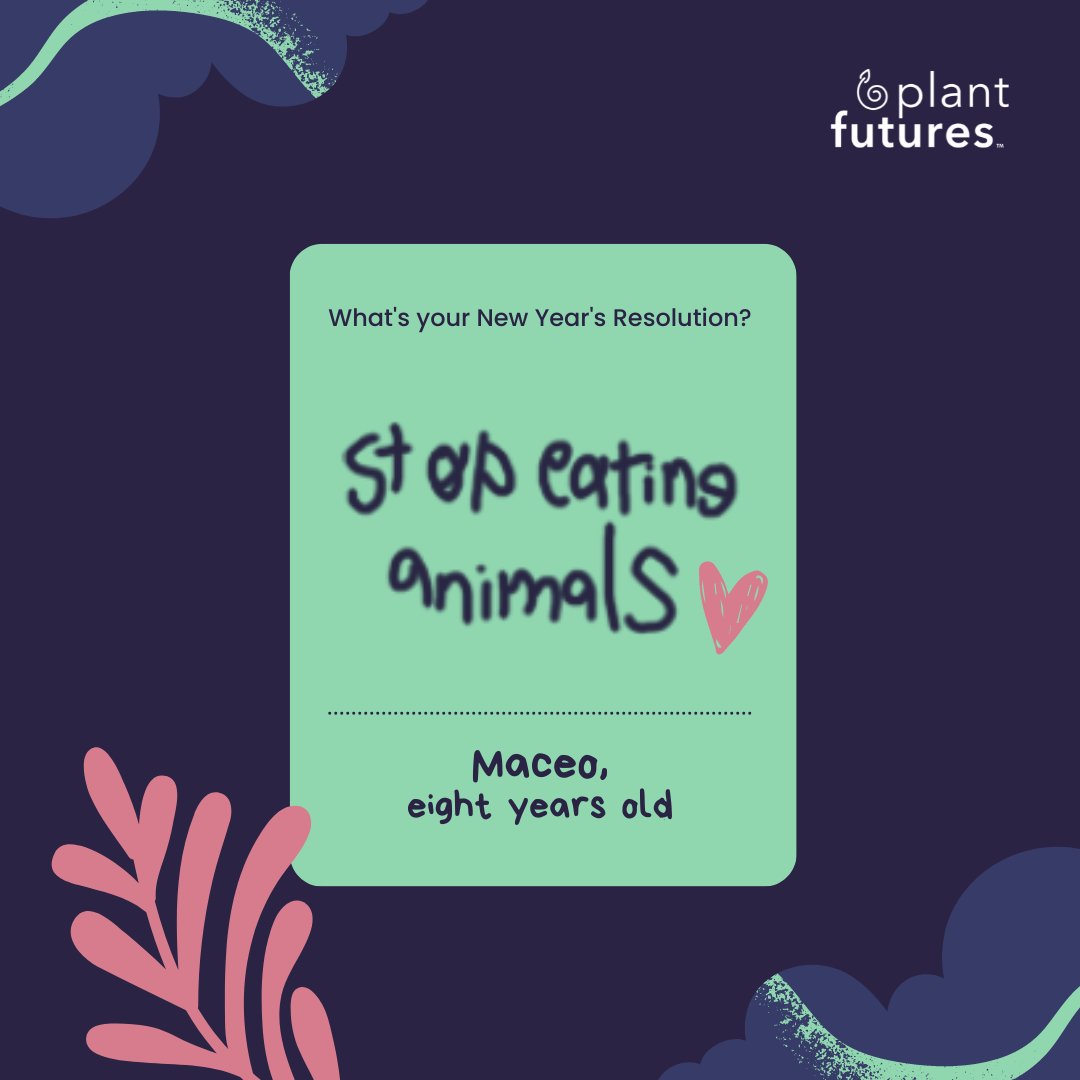 glitteringtofu's tweet photo. Nothing is more refreshing to me than the consciousness of younger generations – the future leaders of our food system 🌱🌎A world where animals don’t have to suffer for our food choices is possible &amp; our kids know it.
🐮🐷🐶🐱🐥💕💫#weareone 🫶🏼
#plantfutures #thefutureisplants https://t.co/PDN6L55gD6