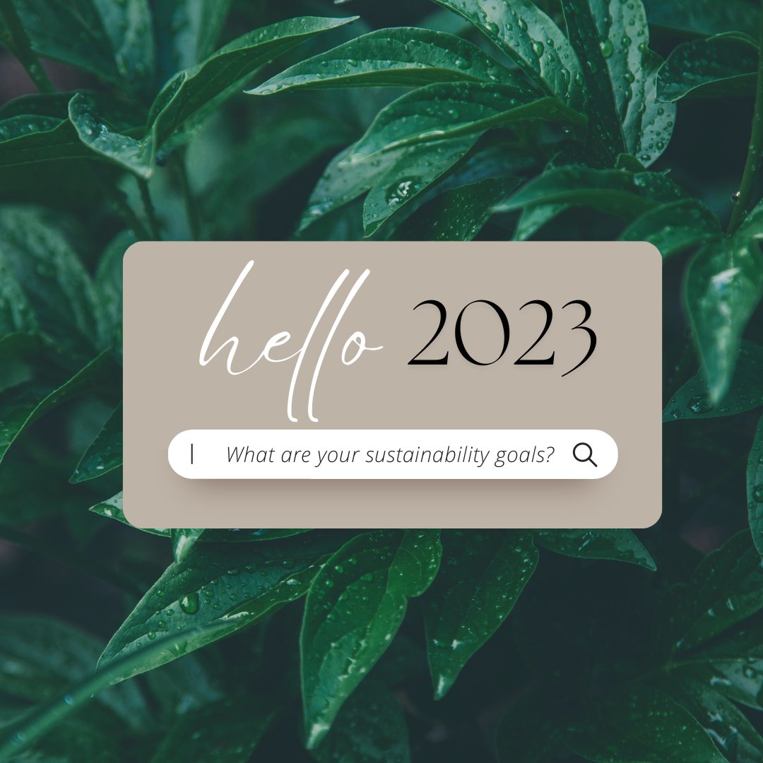 NatSustenance's tweet photo. The New Year is a perfect time to refresh and set intentions. What are your sustainability goals for 2023? Small changes, make a big difference! https://t.co/ZVZqhLSPCH

#sustainability #sustainableliving #sustainablenewyear #2023 #newyearsresolutions https://t.co/1FURULUG9u