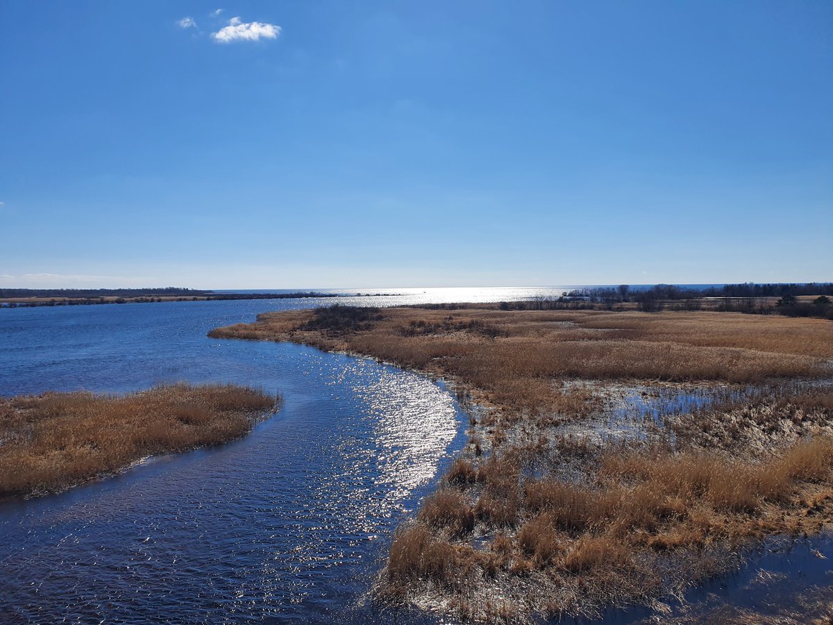 Pillandia's tweet photo. Source of the Narva River, at the northeastern end of Lake Peipus. The Narva altogether forms the northern border between Estonia and Muscovy.
📸: April 2022.
https://t.co/pEuDrH0OLW
🇪🇪 #Narva #Vasknarva #Peipsi #Peipus #Estonia #Eesti #IdaVirumaa #Vironia #Muscovy https://t.co/jnqf60sJzM