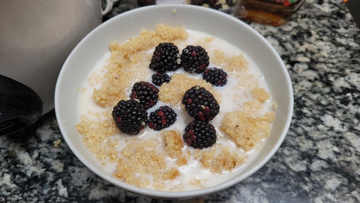 Cooked quinoa seeds with maple syrup and blackberries. Breakfast of champions. A complete protein w/9 essential amino acids, B vitamins, fiber and GF too.
.
#quinoa #Breakfast #vegan #veganathlete #vegantrailrunner #eatyourplants #seeds #plants
