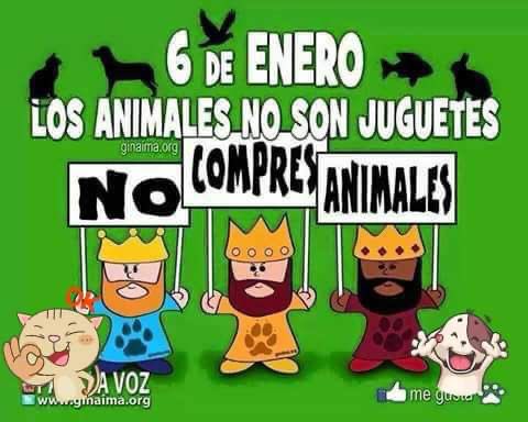 LetyVarela's tweet photo. #NoCompresAnimales #DiaDeReyes https://t.co/h3aLWL3HiM
