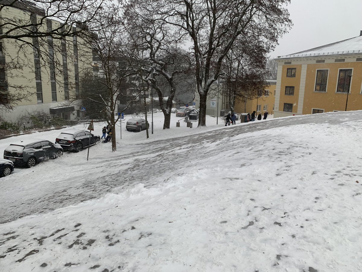 Tine Borg tweet media