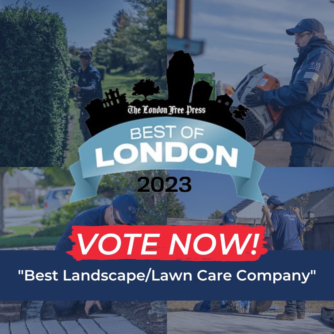 TLC Landscaping Design + Pools tweet media