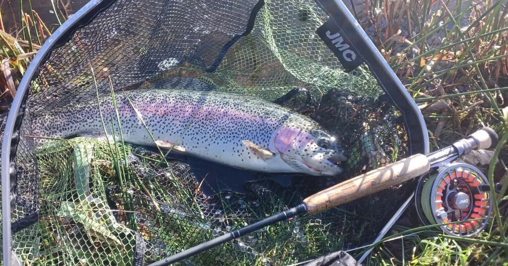 RDBFishing's tweet photo. Soleil et éclosions, il est temps de pêcher au Chiro ! La JMC Pure 10' #6 est parfaite pour cette technique subtile ! 

#jmcpure #jmcviper #jmcidolemidge #jmcflyfishing  #mouchesdecharette #rdbflyfishing https://t.co/OOh5dCr4VP https://t.co/OIzuSwBEmP