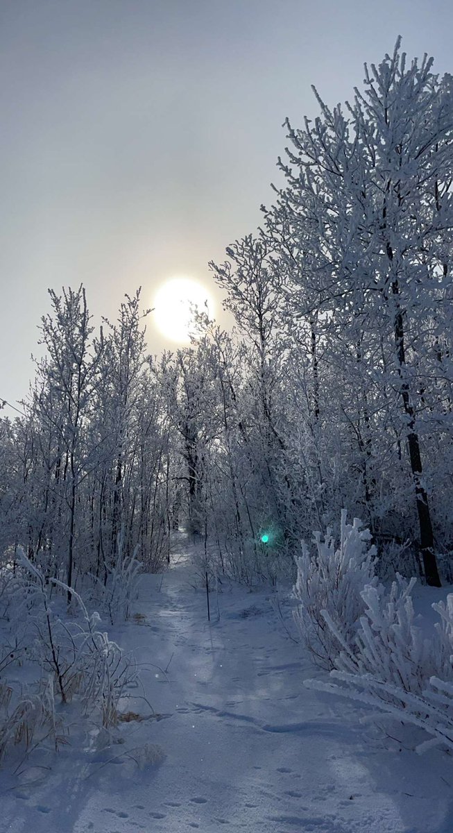 DukeBlueEyes31's tweet photo. #hoarfrost #mn #nwmn #nature #winter #nofilter https://t.co/wCXV00X7zj
