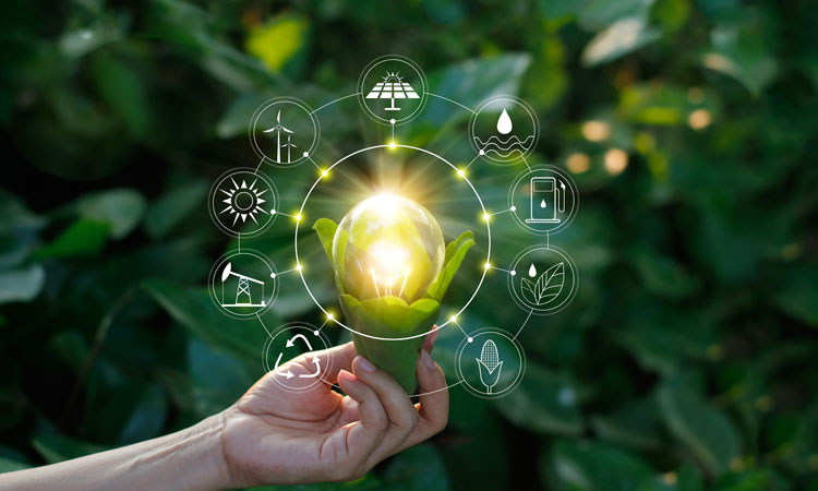 Go Carbon Negative Today!

lnkd.in/dKTghma

Purchase carbon credits from a range of certified projects all over the globe.

#climatechange #sustainability #CSR #SDGs #CarbonNeutral #CarbonNegative #CarbonNeutrality #RenewableEnergy #Renewables #netzerocarbon