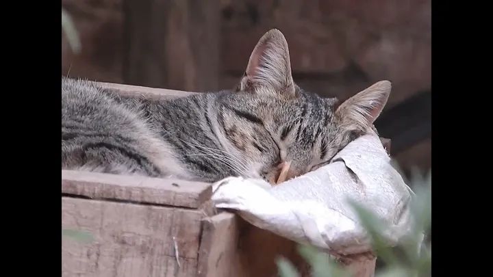 #EscuchaEstaCanción

Hace unas semanas, el cantante y compositor <a href="/MeteoroMateo/">Mateo</a>, de Córdoba capital, Argentina, lanzó Dan Dan Dan, un sencillo con aires de bolero pop.
Chequea su video oficial cliqueando este link: youtube.com/watch?v=e7PzE0…