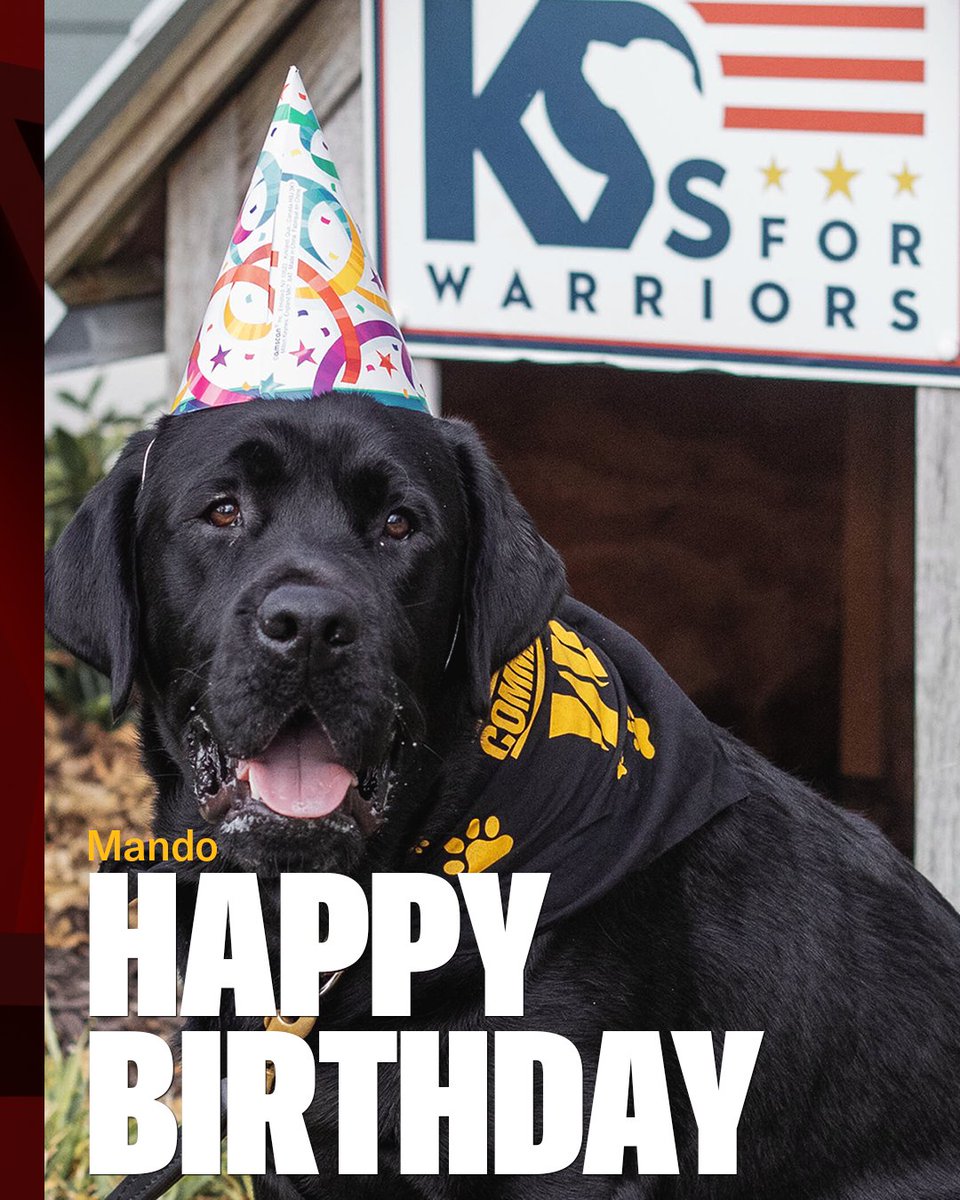 Commanders's tweet image. Happy FURst birthday Mando 🥳🎂