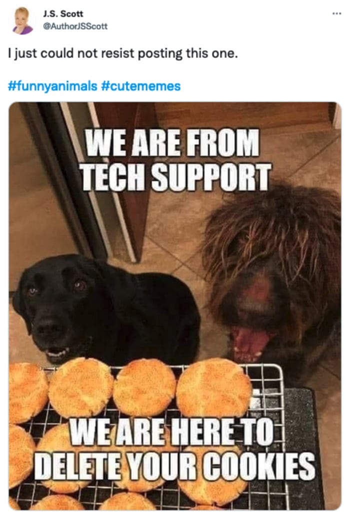 WholesomeMeme's tweet photo. Original tweet by @AuthorJSScott https://t.co/9TSVOLguSB