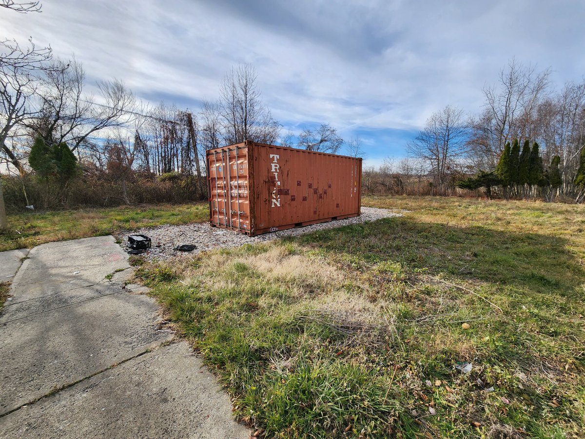 liz morano tweet media