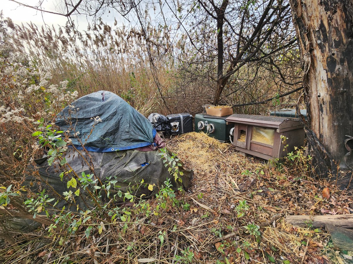 liz morano tweet media