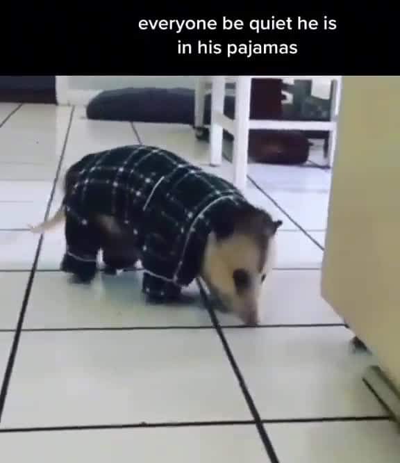 WholesomeMemes (@wholesomememe) on Twitter photo 