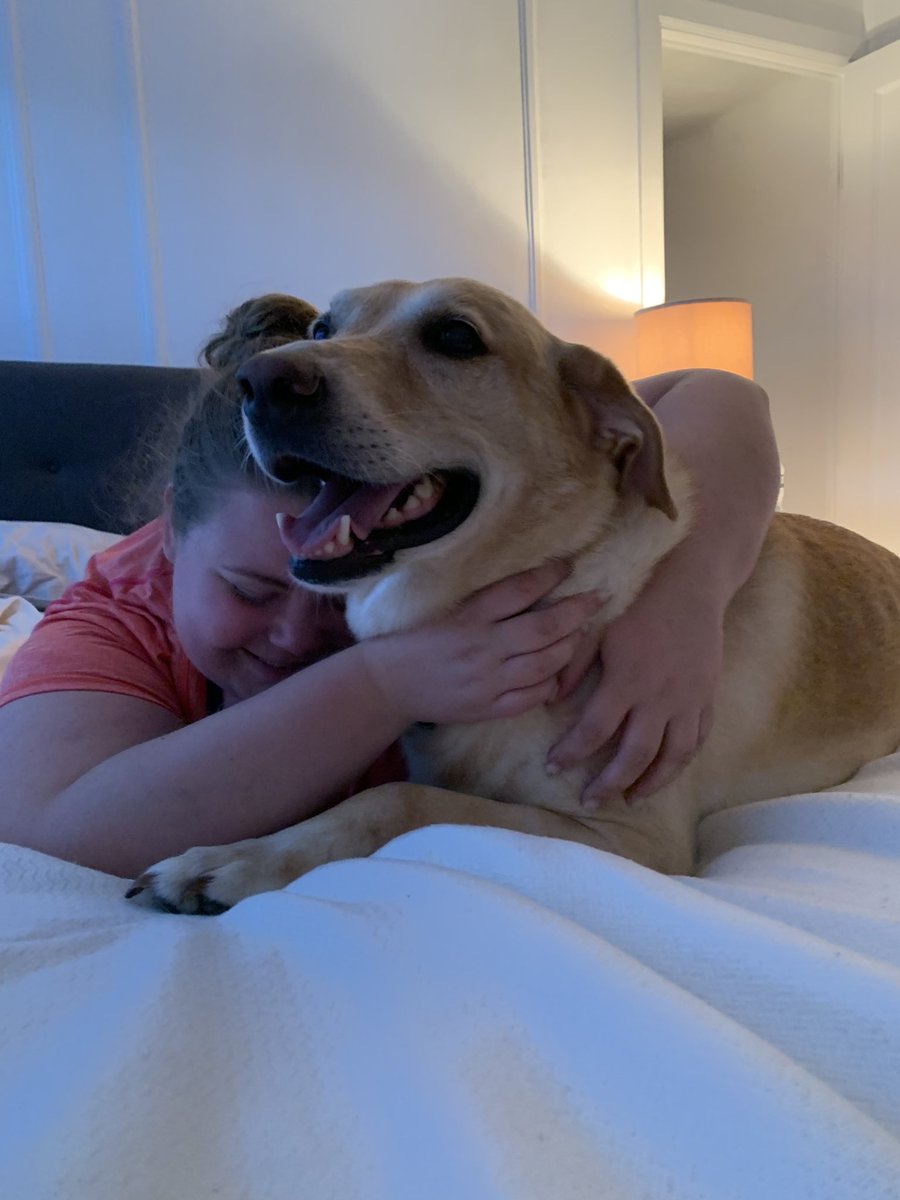 eaemma's tweet photo. 😭💔 RIP DAISY❤️ https://t.co/BmTUVSCK9W