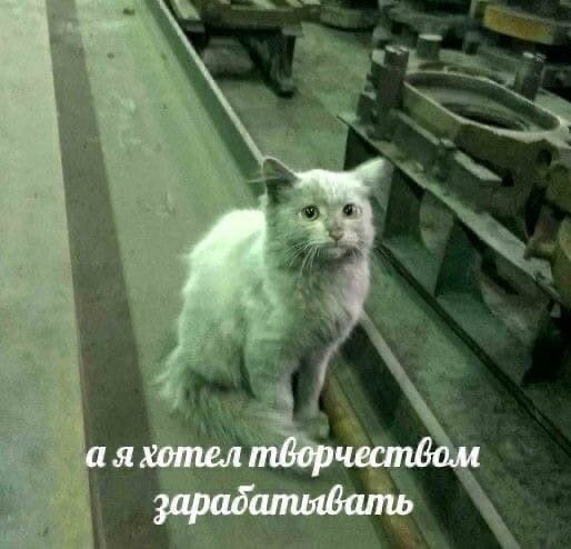 Ребятки швеи 
Я тут это 👀👀👀 хочу конфу создать в телеге для швей, чтобы мы там советовались, делились опытом и тд и тп 
Поэтому если вам нравится подобный движ, то отпишитесь мне в лс или тут под постом 
Так да буду рада рт этого поста