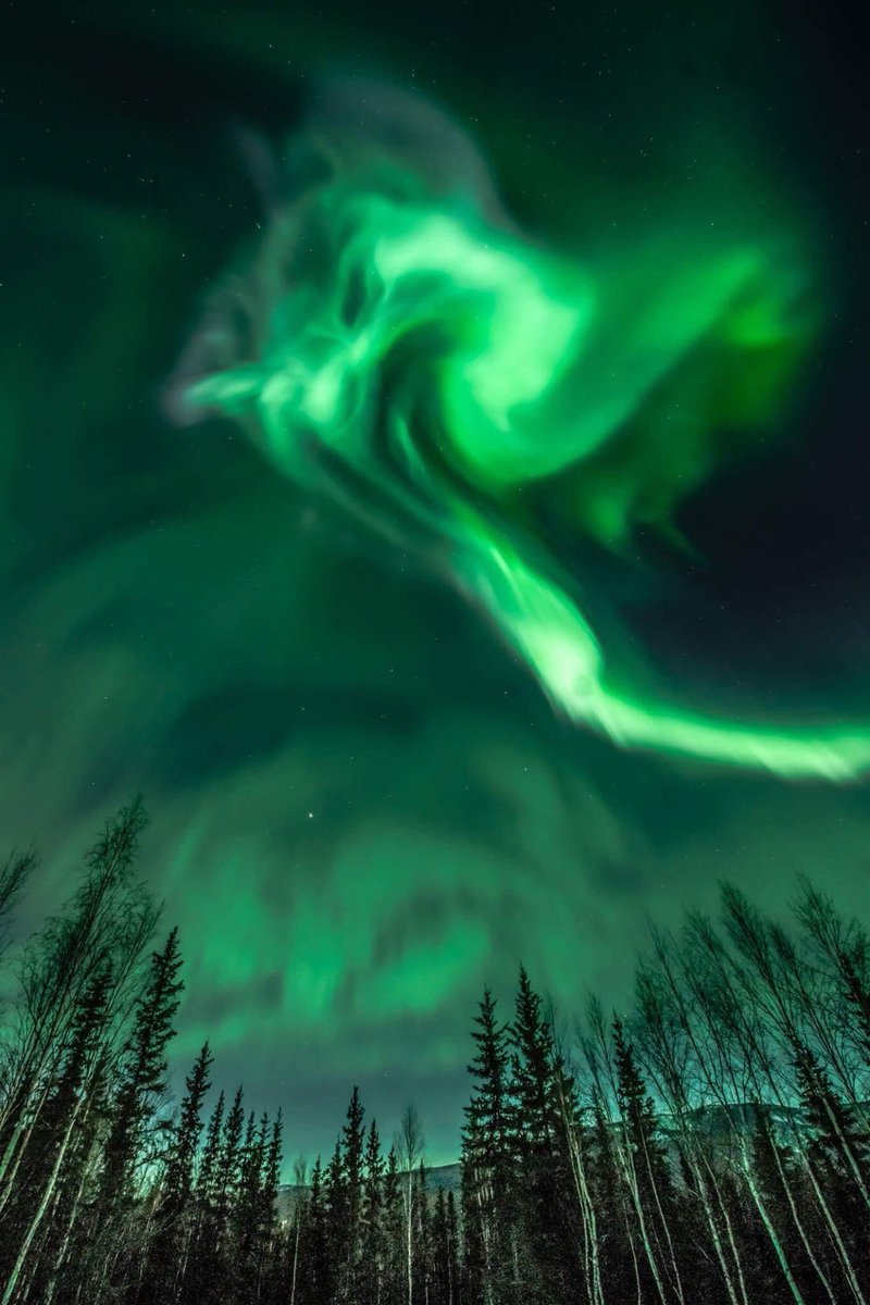 govi47's tweet photo. @LunaLeso @MaurilioVitto @ANNAMAMARIABIA1 @aiaggaia @Blackskorpion4 @ACmcoppola @MariaGiuliaDelf @EmmaBoh10 @CodiceQ @carolinasanter1 @340Numero @Rosa_dEss @isidemoni Aurora in Lapponia….
#chemeraviglia https://t.co/l6HkqtEKLd