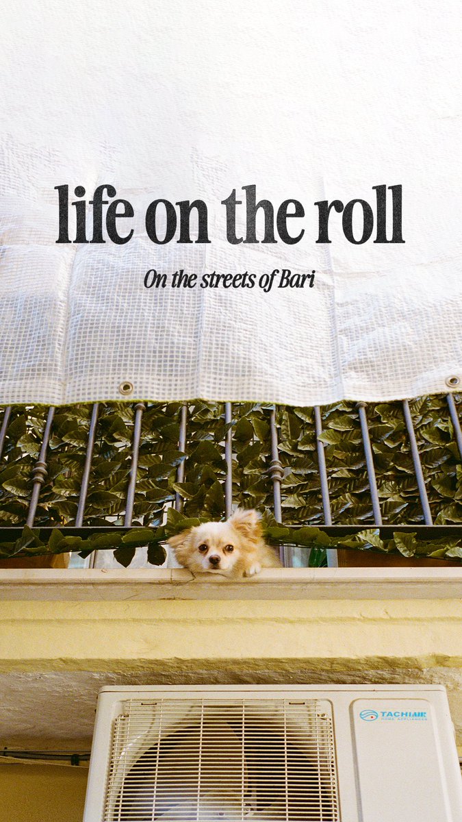 One thing I want to set out to do is release something physical in the photography world before I'm 30.

I've started the first steps by restarting what I'm sharing. If you're down to see, here's the Instagram
instagram.com/itsjordanfoy

(share too if that's cool!)