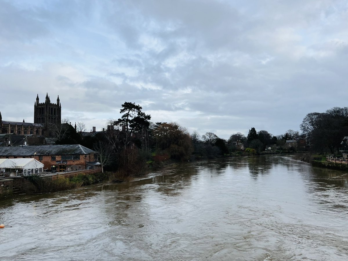 Anthony Snell tweet media