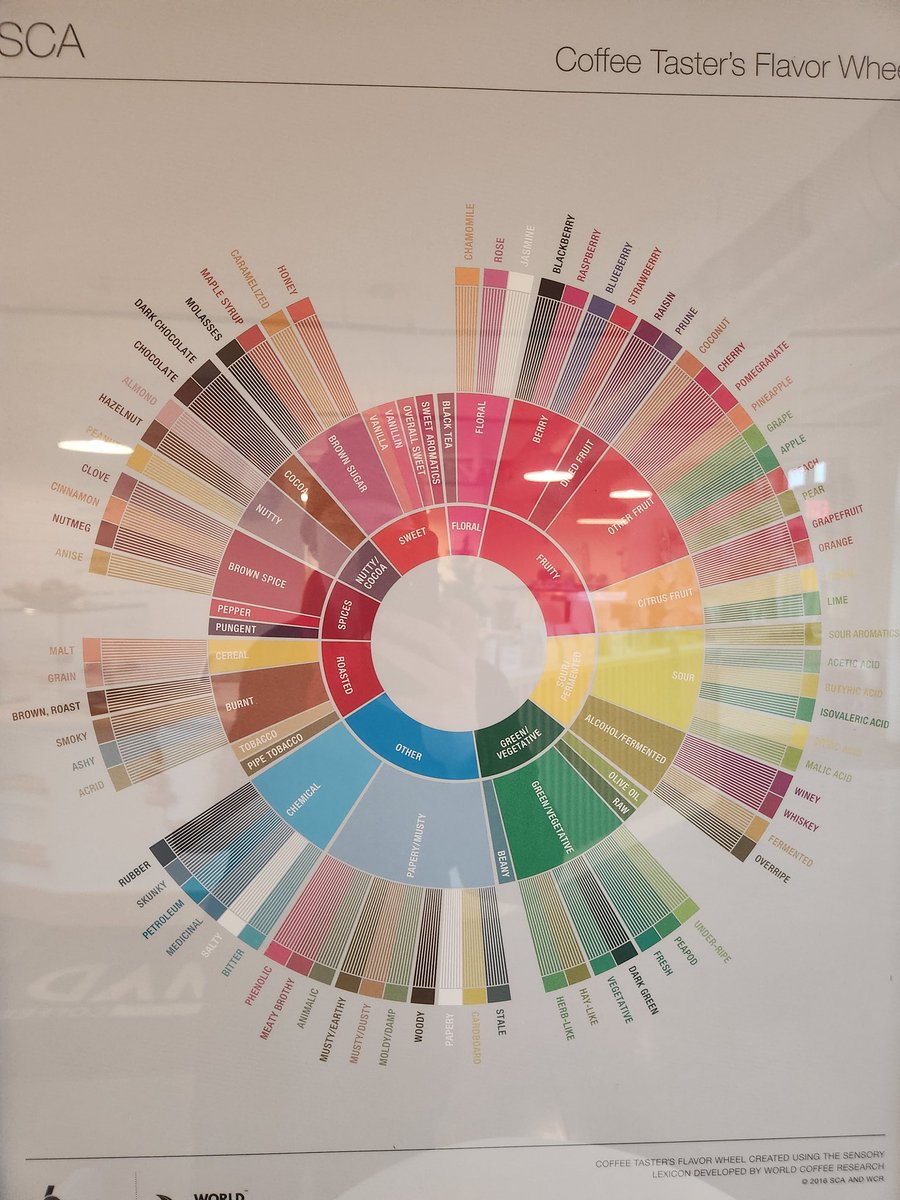 SinfulGamesLab's tweet image. Every time I see one of these I think there's some TTRPG character creation system in here...