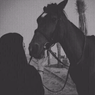 Maha23322's tweet photo. تألفه …
وكأنك كُنت تعرفه طوال حياتك …!! https://t.co/TMDSxrfCvN
