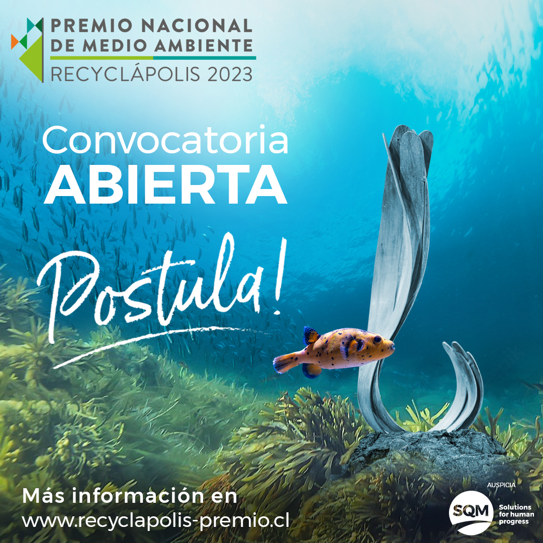 Fundación Recyclápolis tweet media