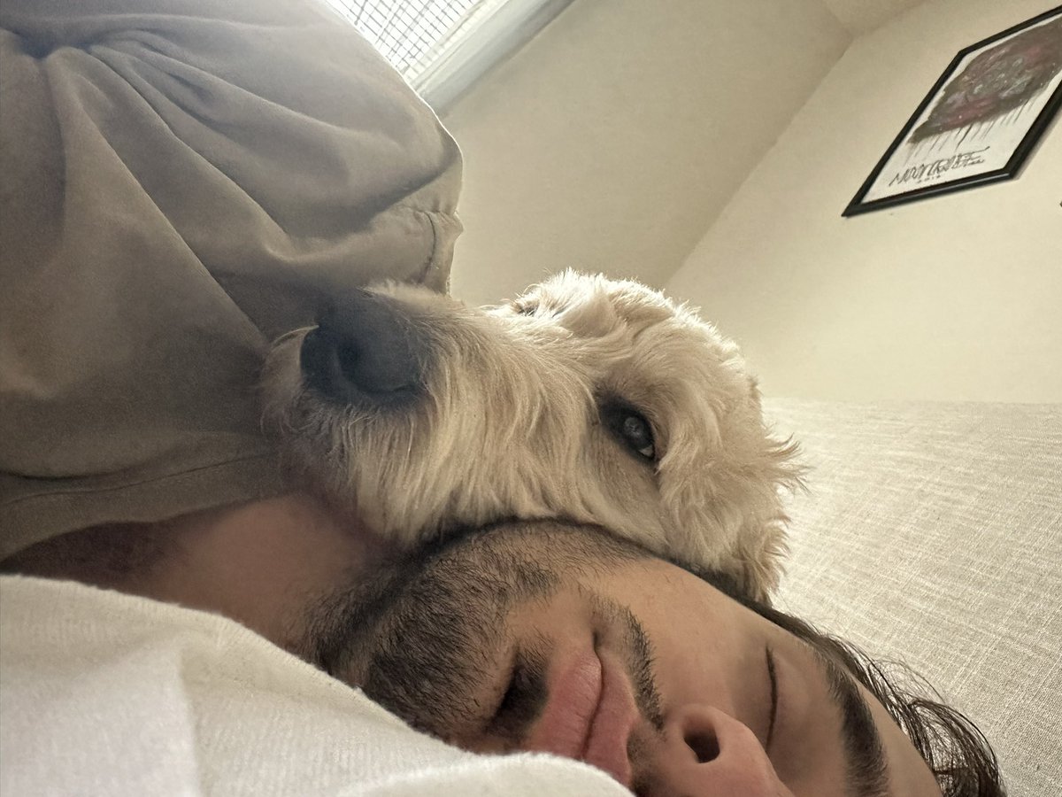 halliegirrrl's tweet photo. A coupla sleepy boys https://t.co/5Iy7myPWjX
