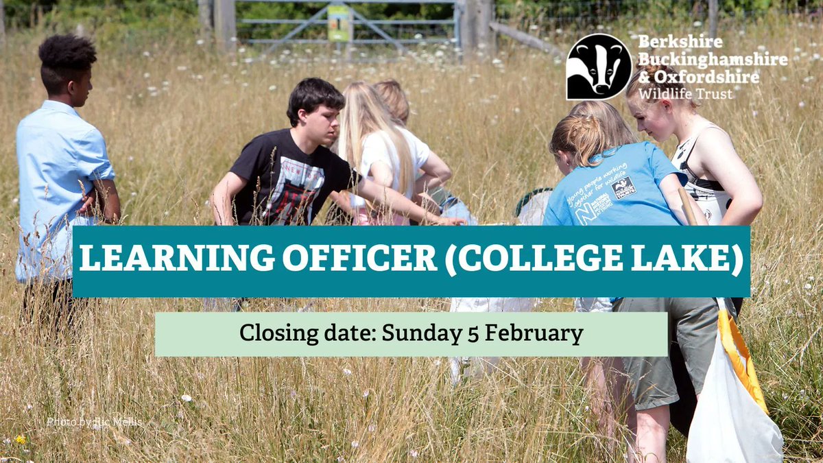 Come and work with our learning team! 

We are looking for an outgoing, knowledgeable educator to help deliver our exciting schools and events programmes at College Lake Environmental Education Centre. Find out more: bbowt.org.uk/jobs/learning-…