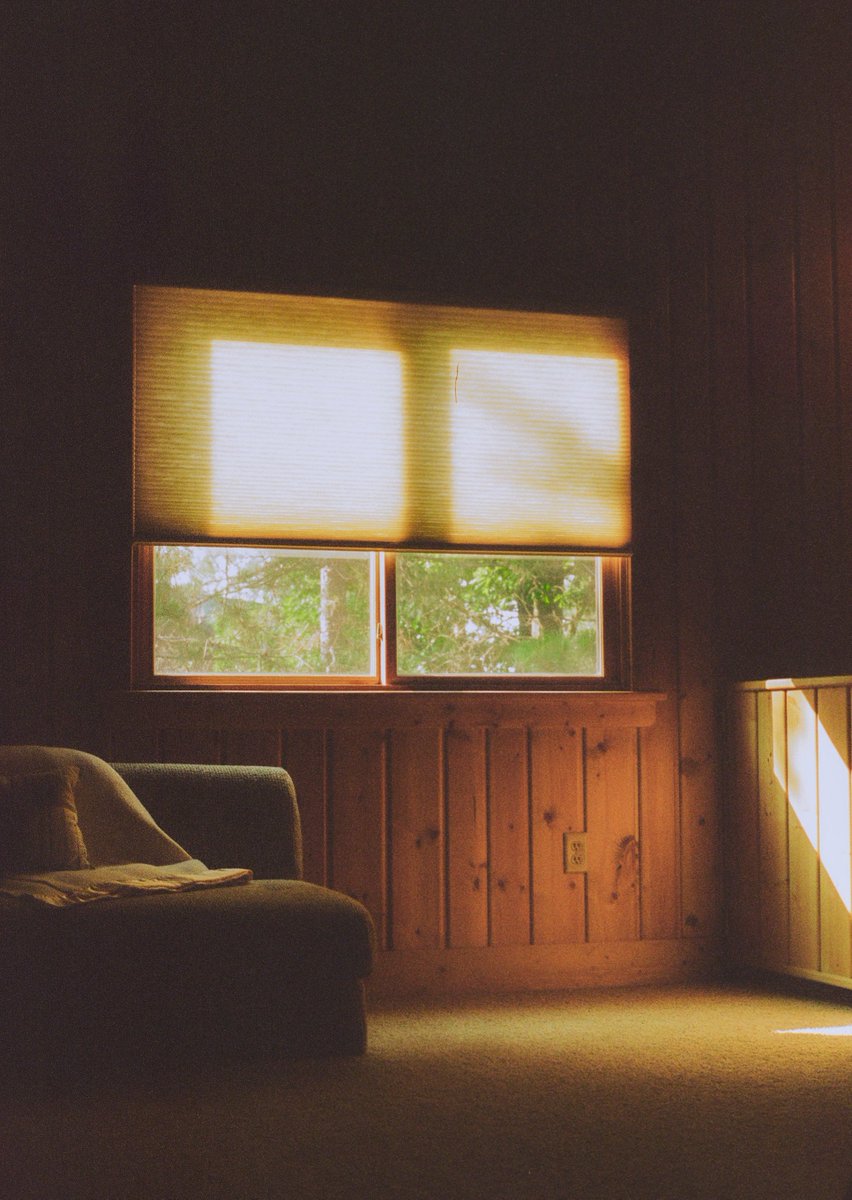 AlexKittoe's tweet photo. Summertime in Minnesota 🎞 https://t.co/1x9x7G5WzD