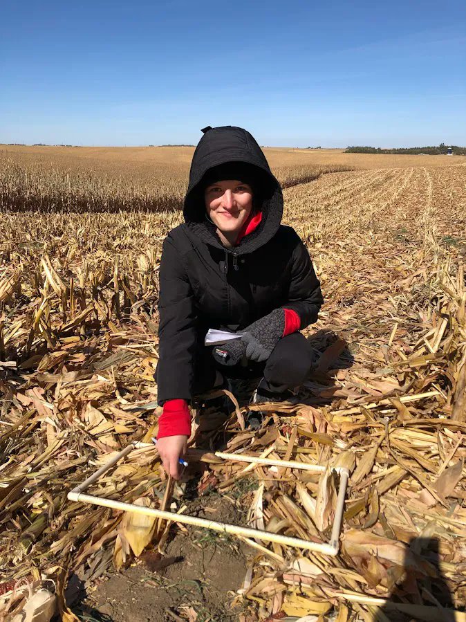 UNL_CropWatch's tweet image. Broadcast Interseeding with a Highboy — What We Learned in Year One | First-year results of a study to assess #covercrop establishment using broadcast late-season #interseeding in rainfed &amp;amp; irrigated fields. buff.ly/3X6ncgS 🌱 #NebExt #soilhealth #covercrops