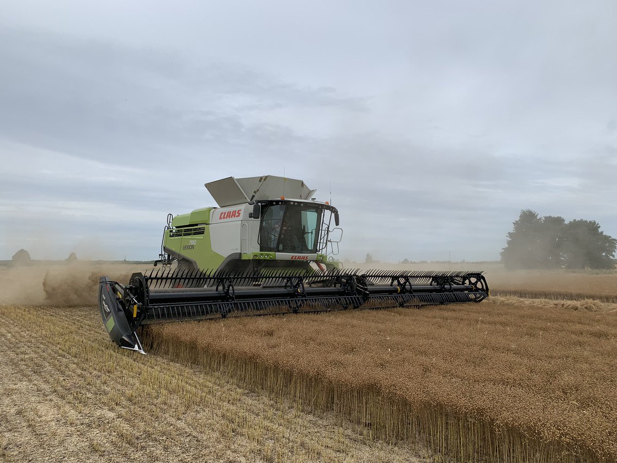 James Burman tweet media