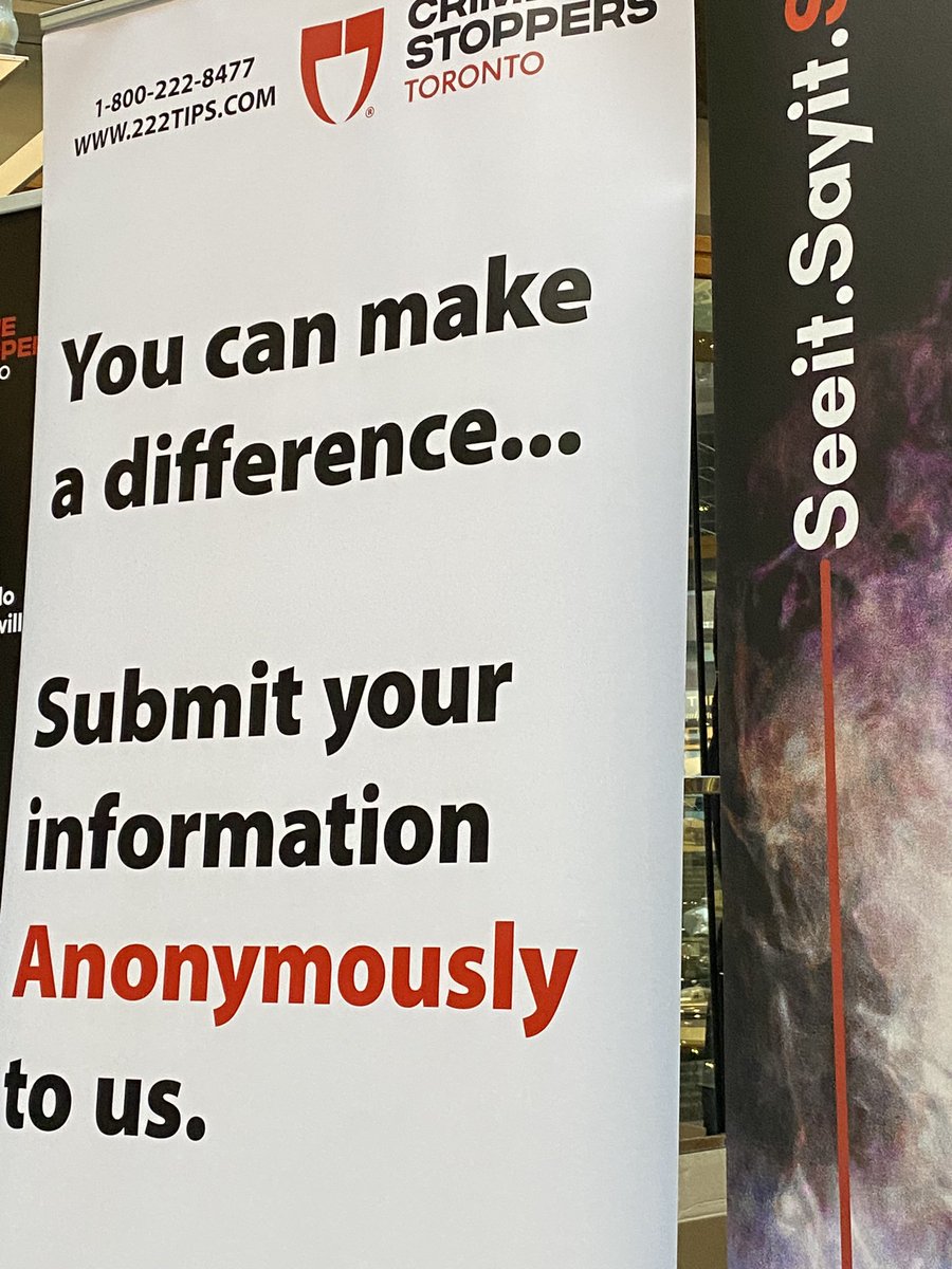 LeeAnn Papizewski tweet media