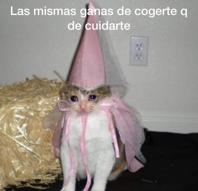 Ilustraciones tweet media