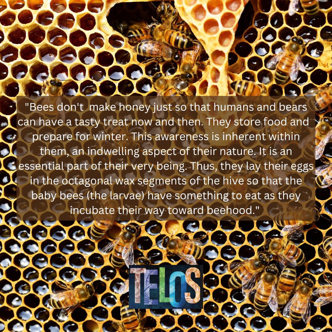 oncoiaco's tweet photo. What do bees have to do with our purpose in life? Find out in Dr. Iacoboni’s book “Telos” now available on Amazon and Barnes &amp; Noble. #Telos #Science #purpose https://t.co/JrzZWhb0vX