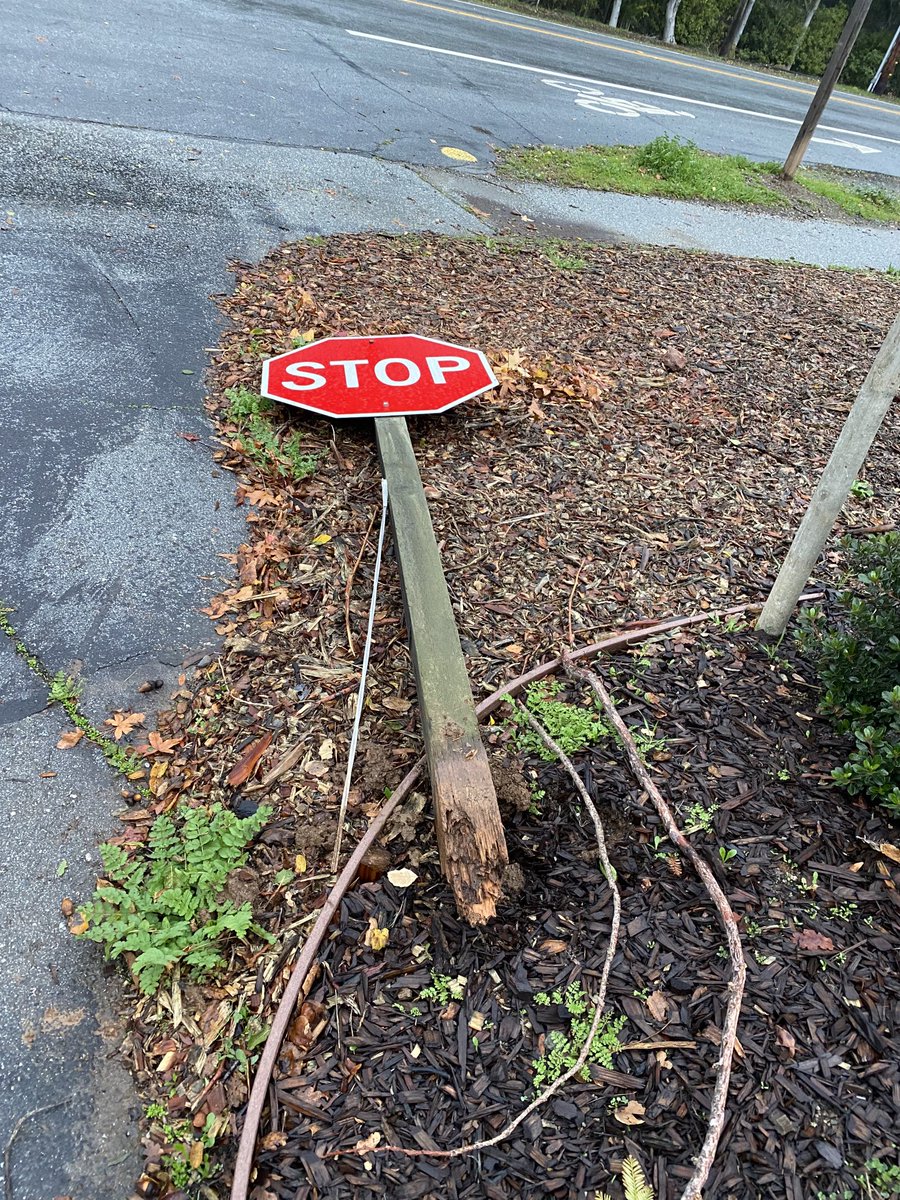 Less rain last night on the peninsula. The wind took down the stop signs on our street. Trees are up and no lake around our home. All is well. #perfectstorm
