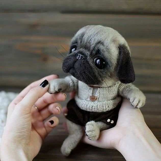 pugLovers27's tweet photo. How cute😍😍♥️ https://t.co/m0QzxZS7gh