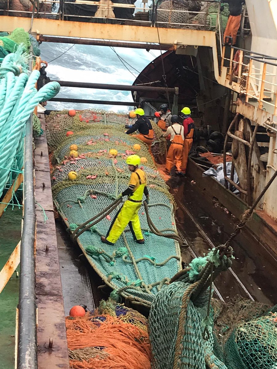 leoziito355's tweet photo. “Sou pescador , não me perguntes meu salário pergunta quantas horas durmo , quantas horas trabalho e quanto tempo passo sem ver a minha família “
Mylife⚓️💪❤️ https://t.co/2Lgllm10yT
