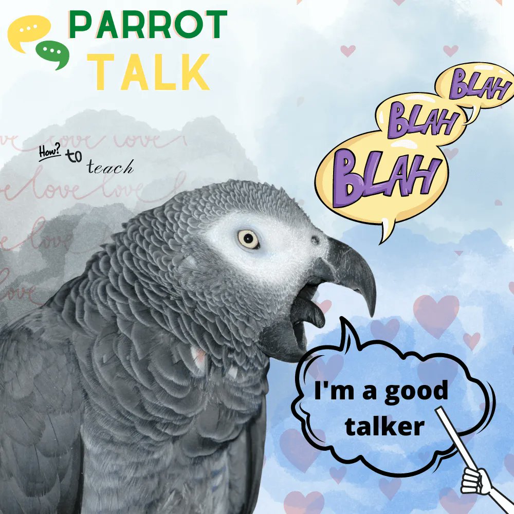 Parrot talk ❤️❤️
bit.ly/3ZciIHx
#parrottalk #parrottalking #talkingparrot