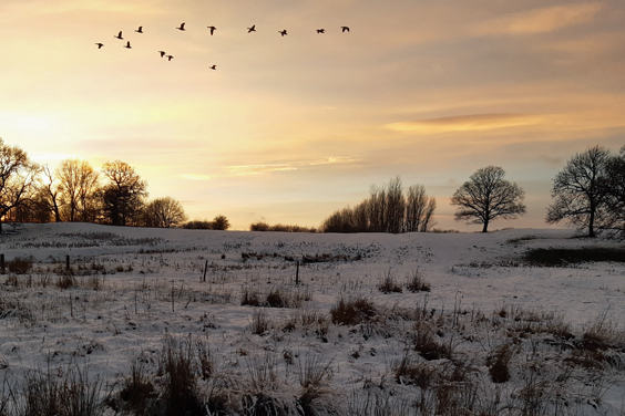 Now that life is returning to some form of normality we would like to wish you a Happy New Year, we hope you have had a wonderful Christmas with family and friends, Nadine and Joanne mailchi.mp/countryhideawa…