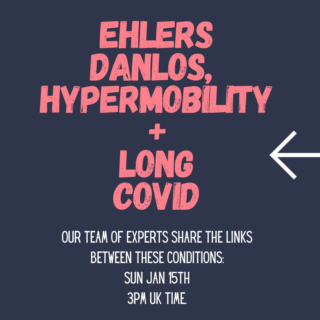 suzy bolt yoga tweet media