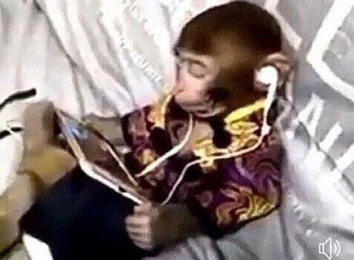 pov: vc tá terminando comigo mas eu tô colhendo os ovinhos da minha galinha no hay day