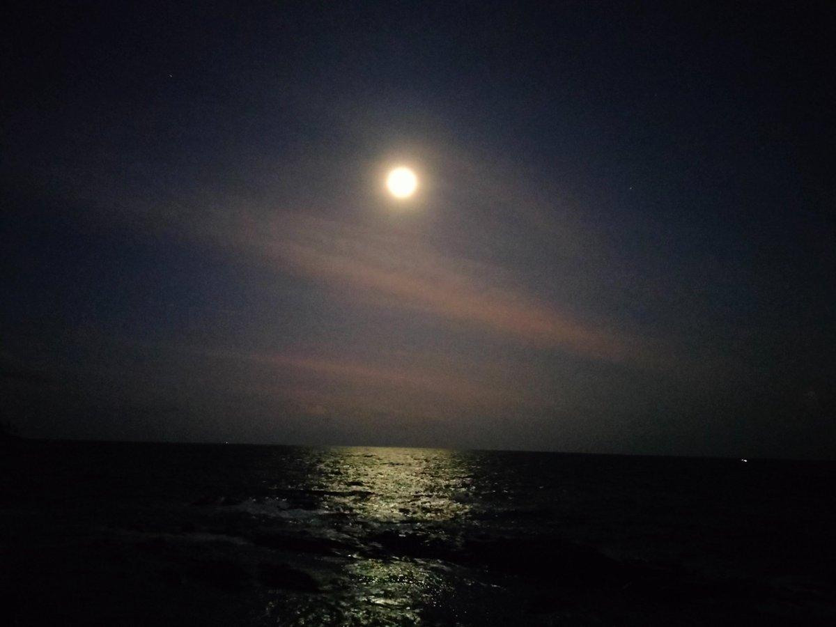 jabber_no's tweet photo. Almost full.

#moon #growing #ocean #glowing https://t.co/Kh6tk9LCkI
