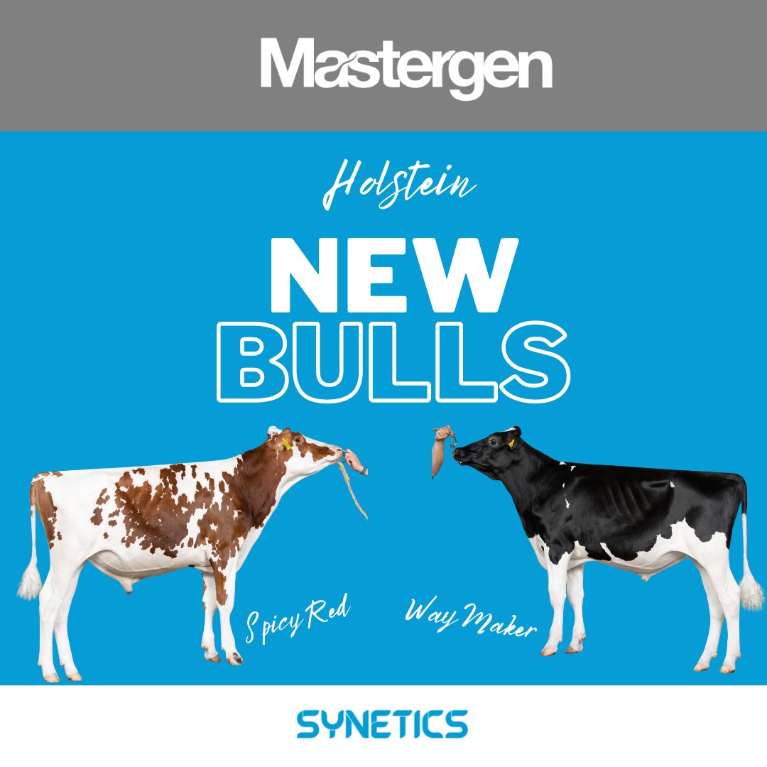 Synetics UK tweet media