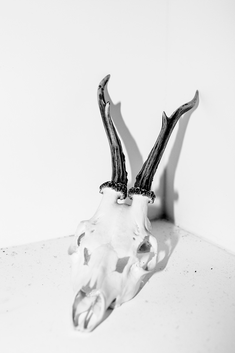 Culture du viol : Laia Abril dénonce l’incapacité des institutions à protéger les femmes dans son ouvrage, « A History of Misogyny (Chapter Two): On Rape » : bit.ly/3WMvqeA