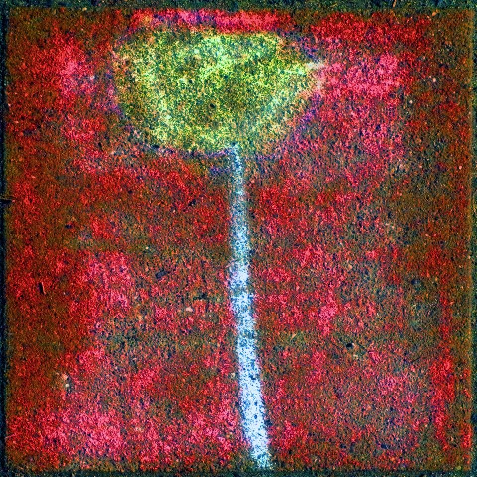 VHS REGION Lüneburg tweet media